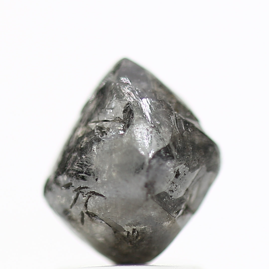 ClariOLED Transparent OLED Display price