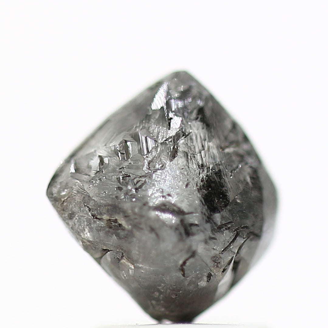 ClariOLED Transparent OLED Display price