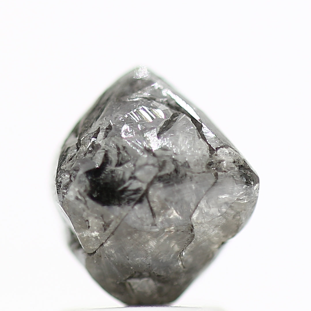 ClariOLED Transparent OLED Display price