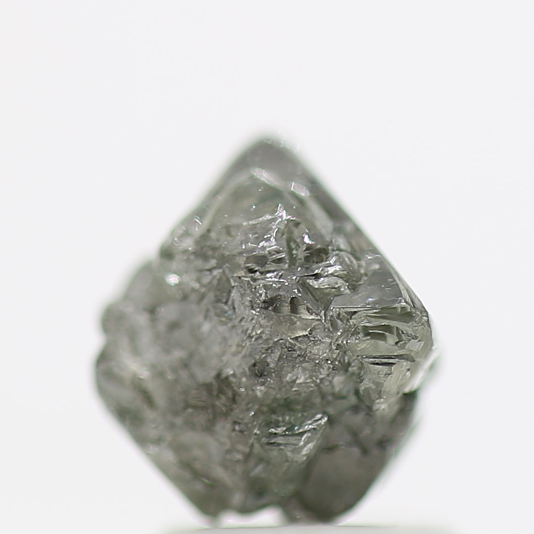 ClariOLED Transparent OLED Display price