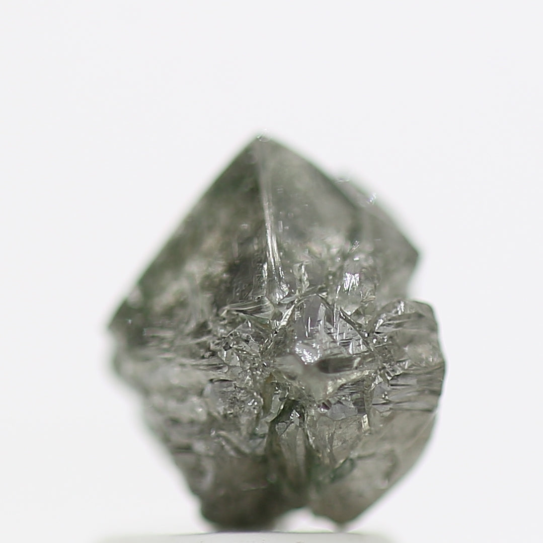 ClariOLED Transparent OLED Display price