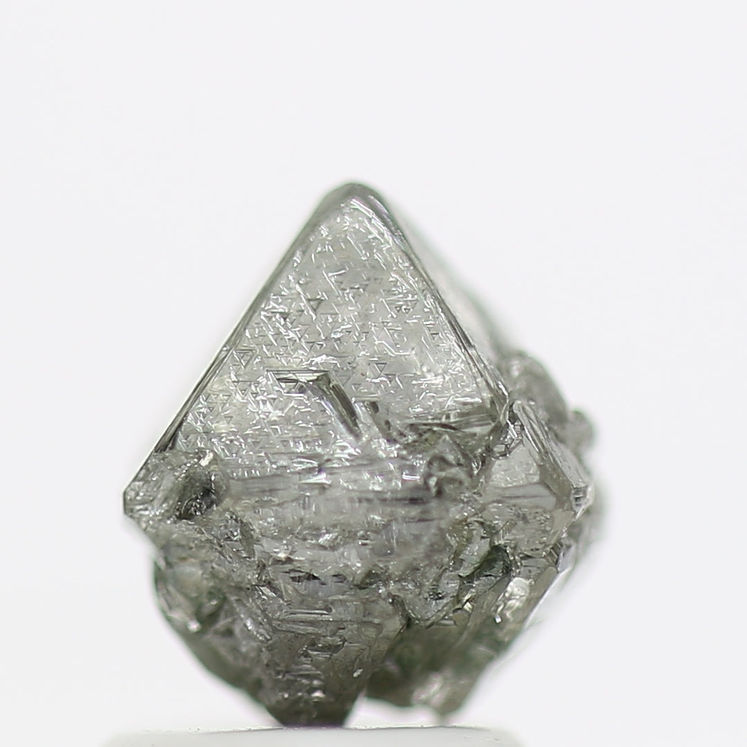 ClariOLED Transparent OLED Display price