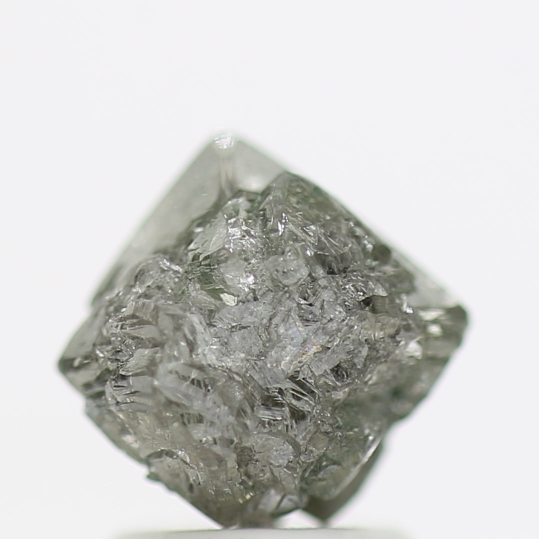 ClariOLED Transparent OLED Display price