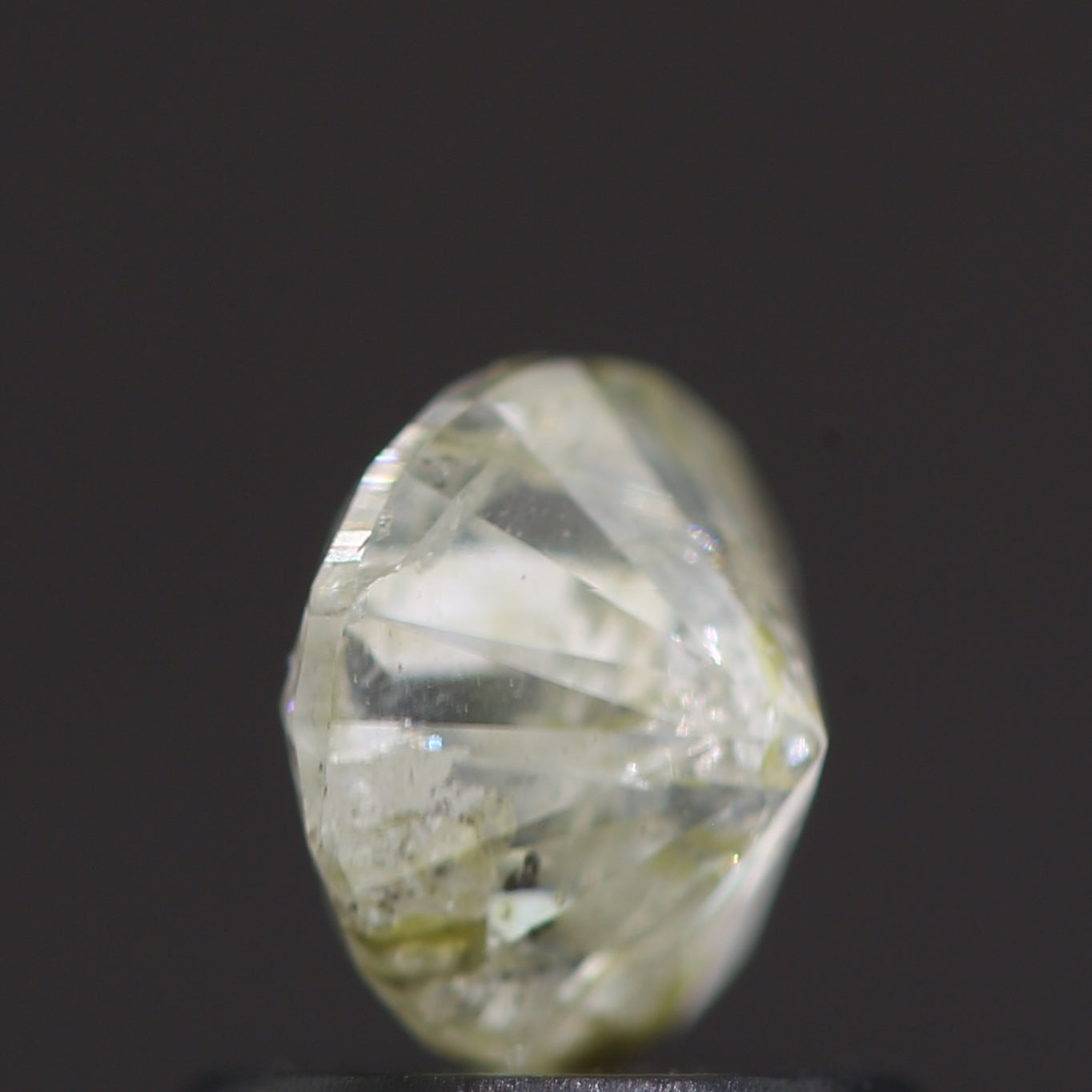 ClariOLED Transparent OLED Display price