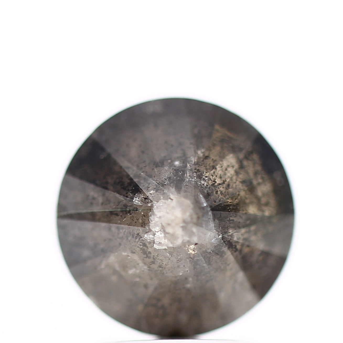 ClariOLED Transparent OLED Display price