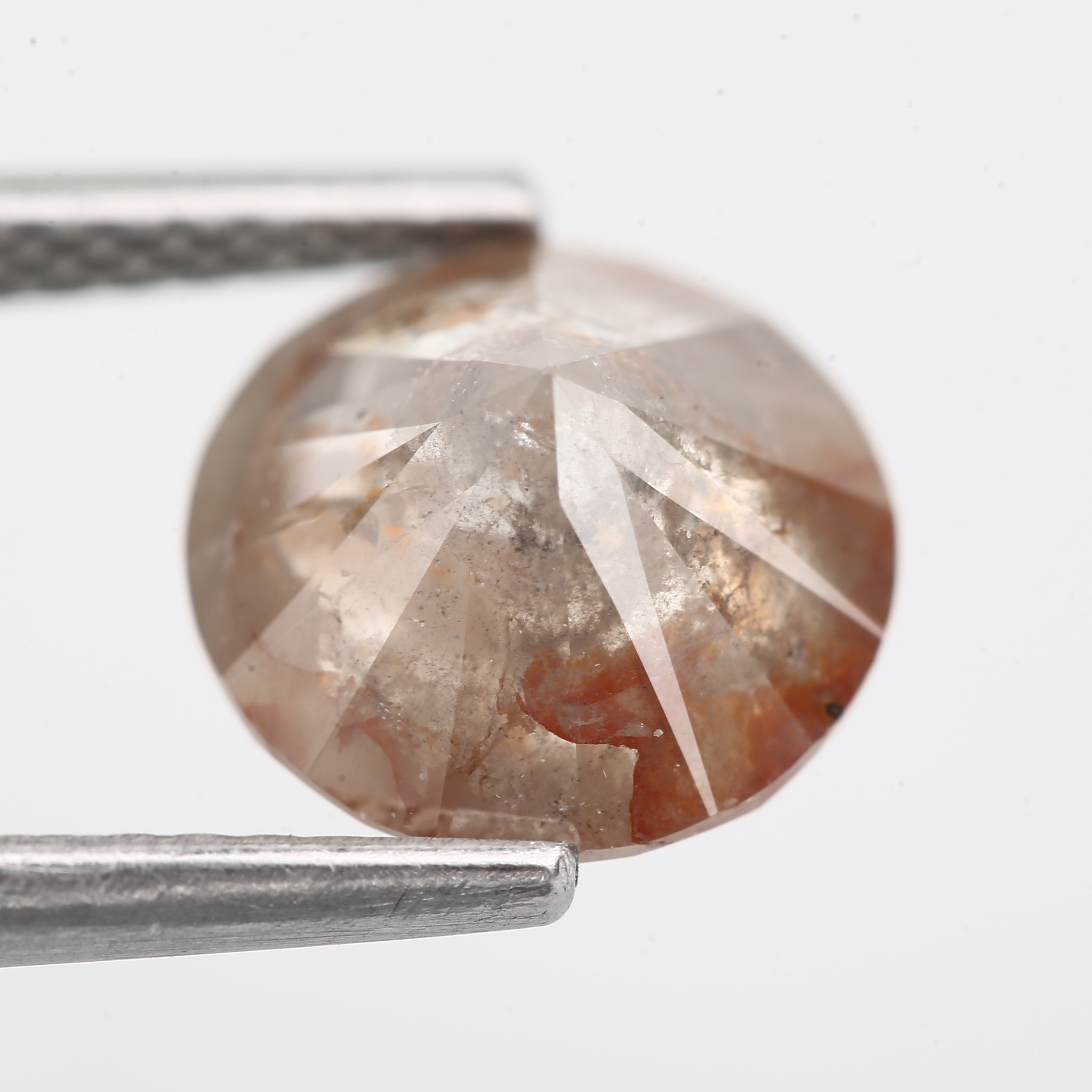 ClariOLED Transparent OLED Display price