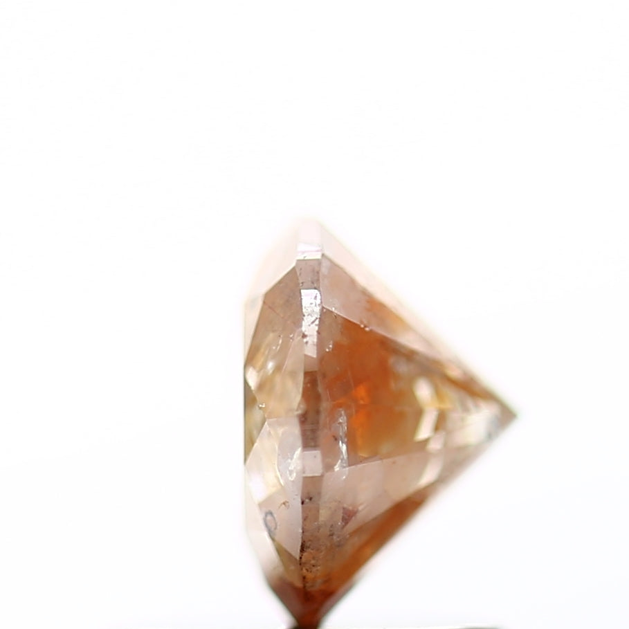 ClariOLED Transparent OLED Display price