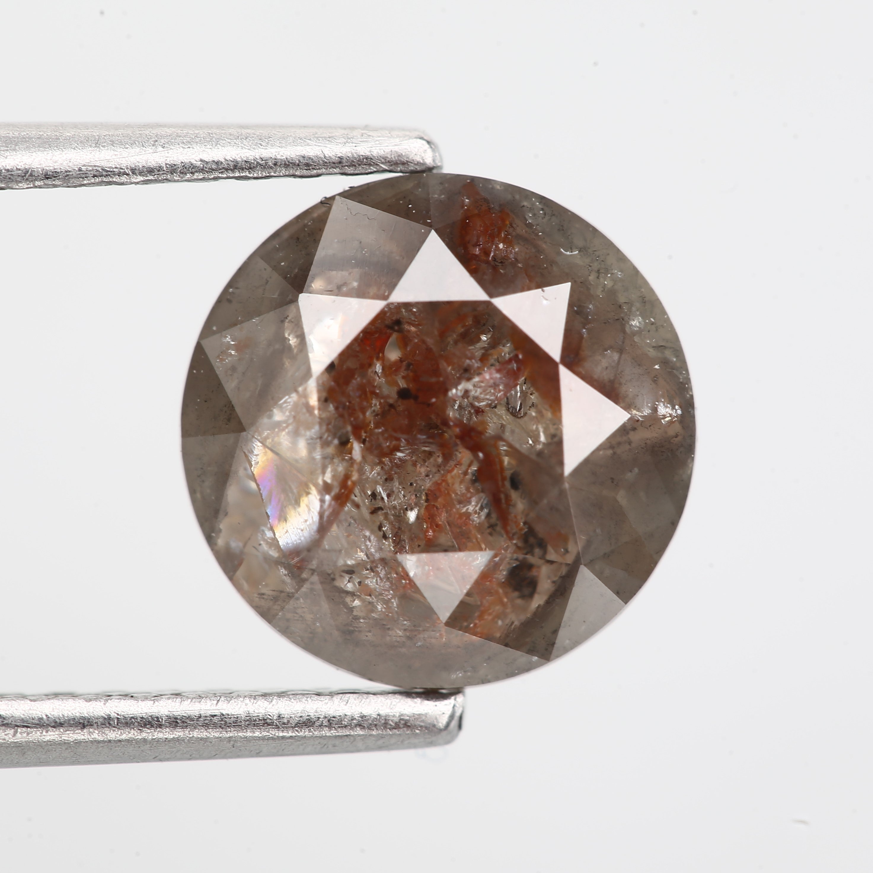 ClariOLED Transparent OLED Display price