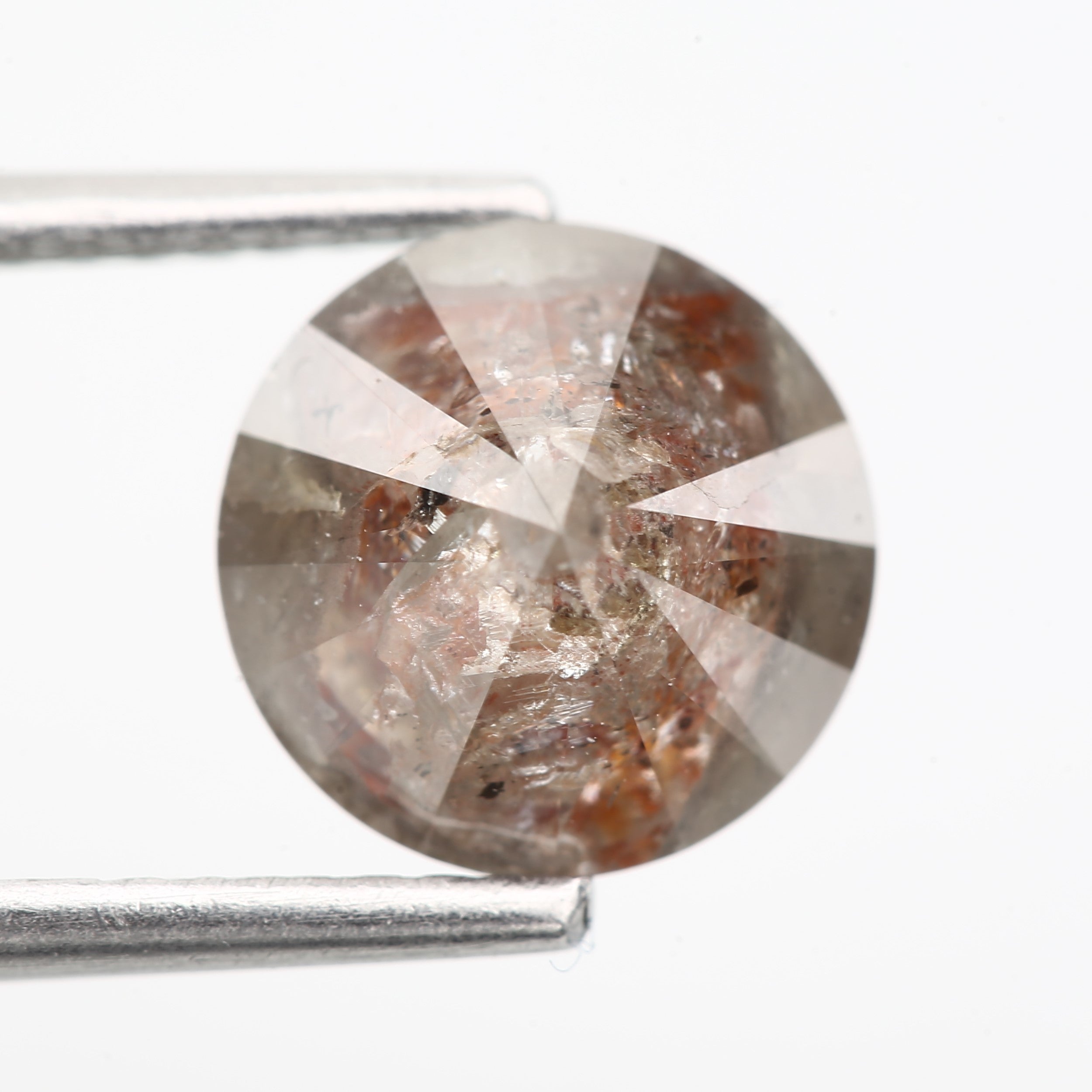 ClariOLED Transparent OLED Display price