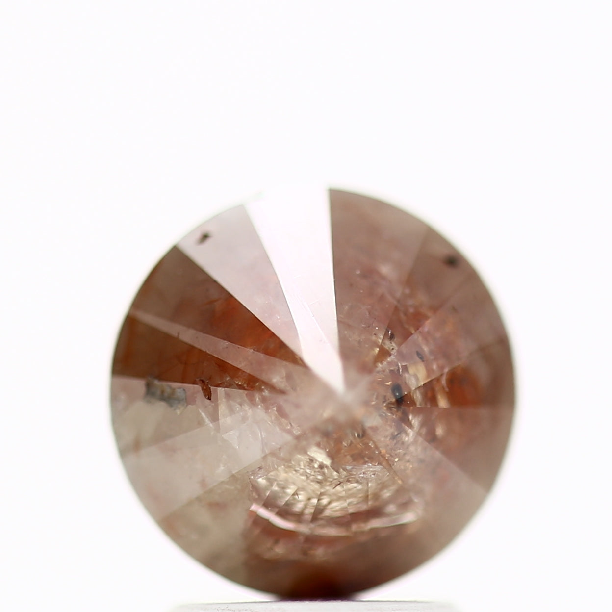 ClariOLED Transparent OLED Display price