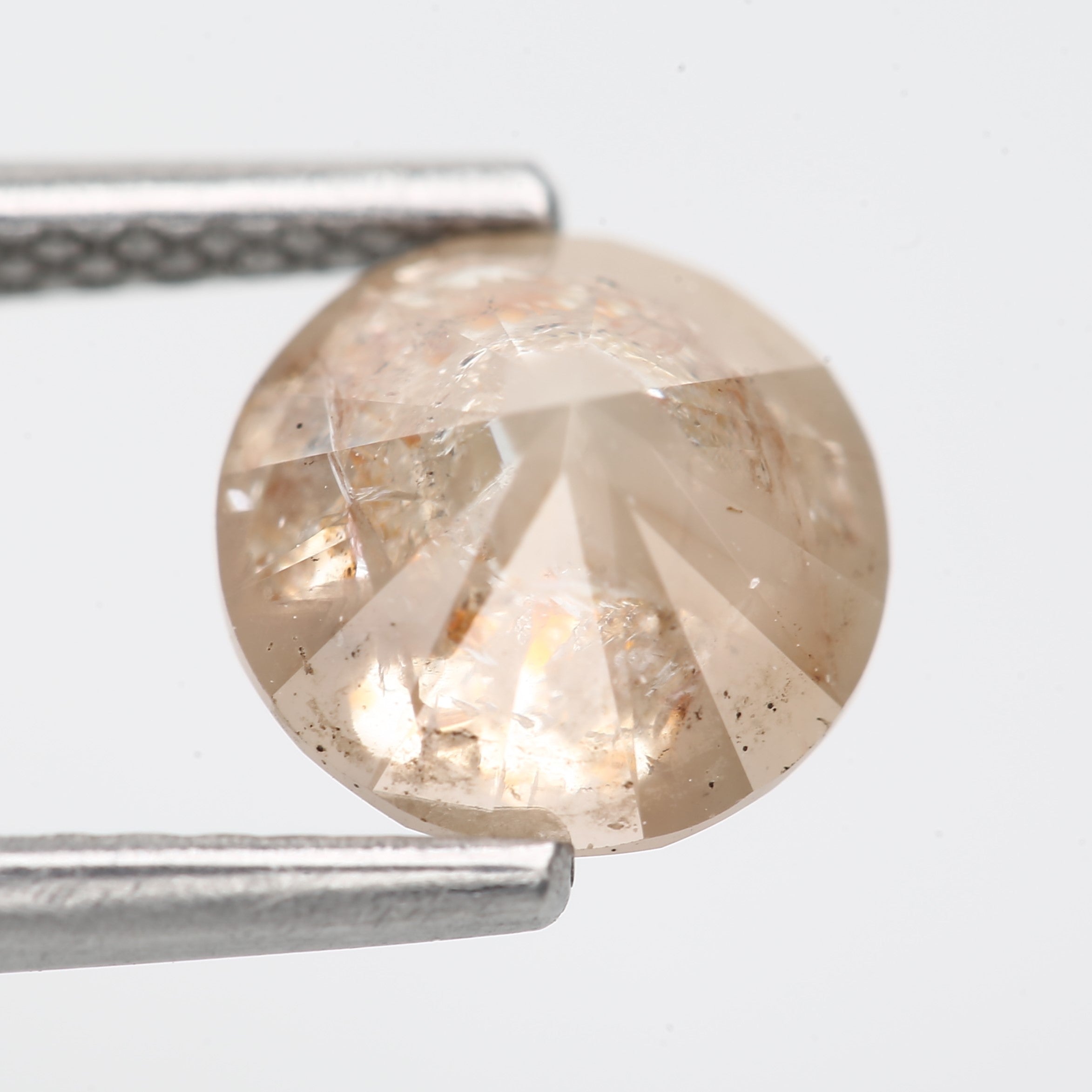 ClariOLED Transparent OLED Display price