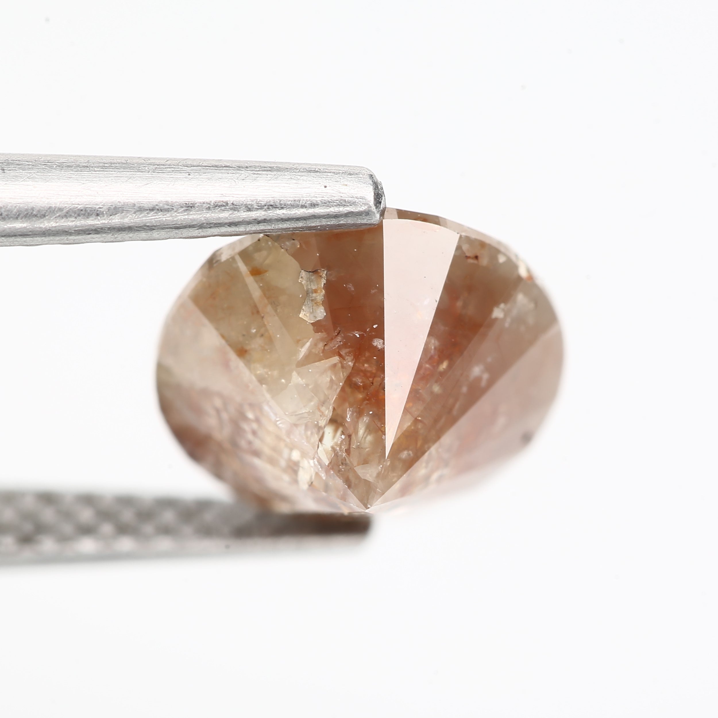 ClariOLED Transparent OLED Display price