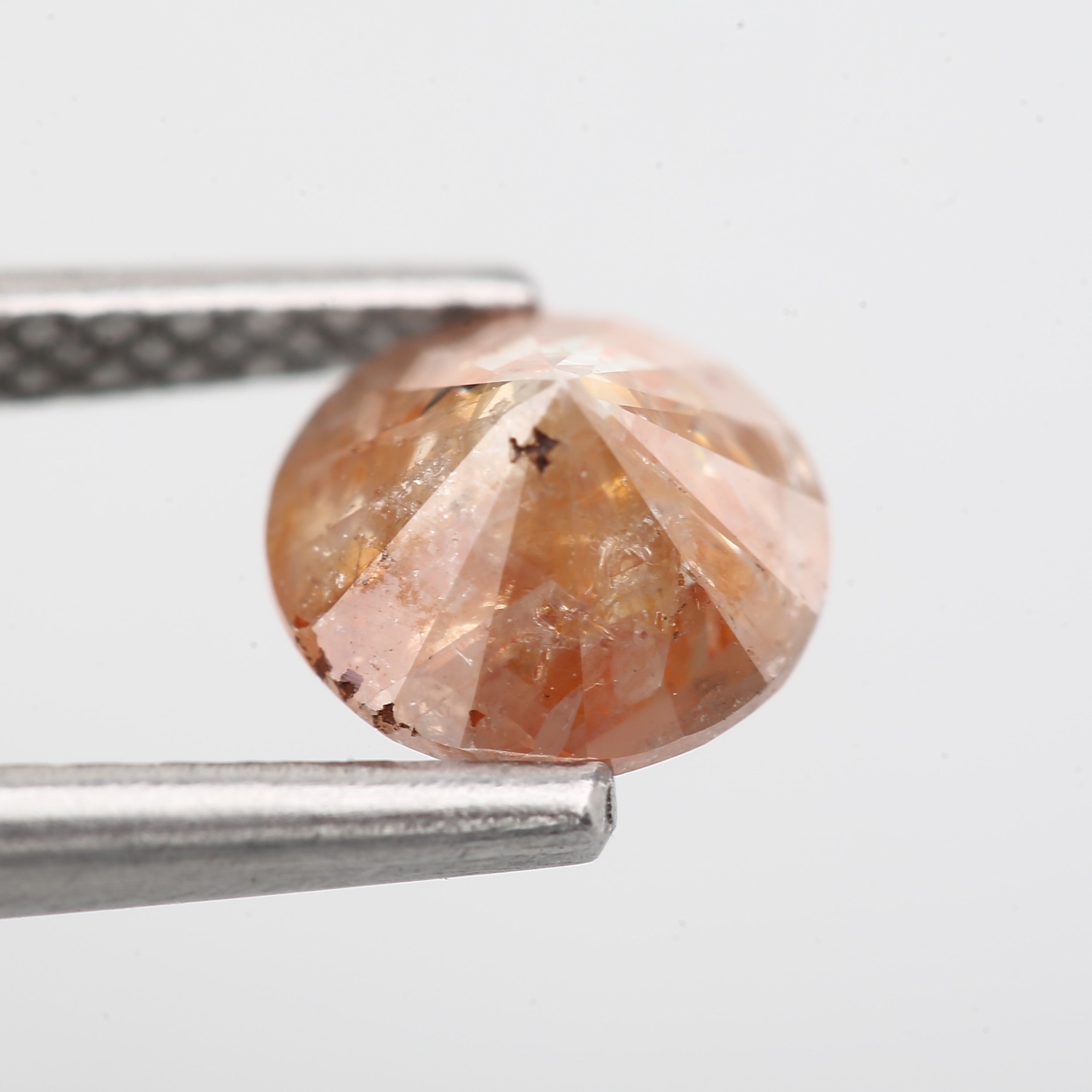 ClariOLED Transparent OLED Display price