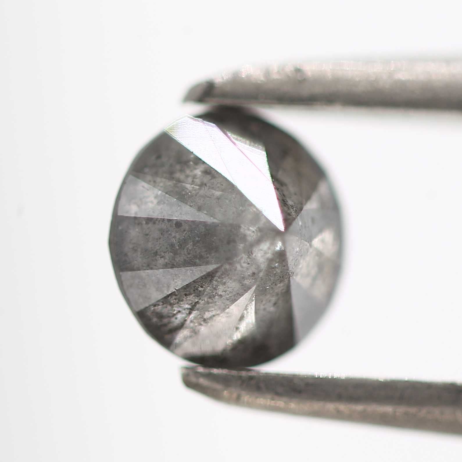 ClariOLED Transparent OLED Display price