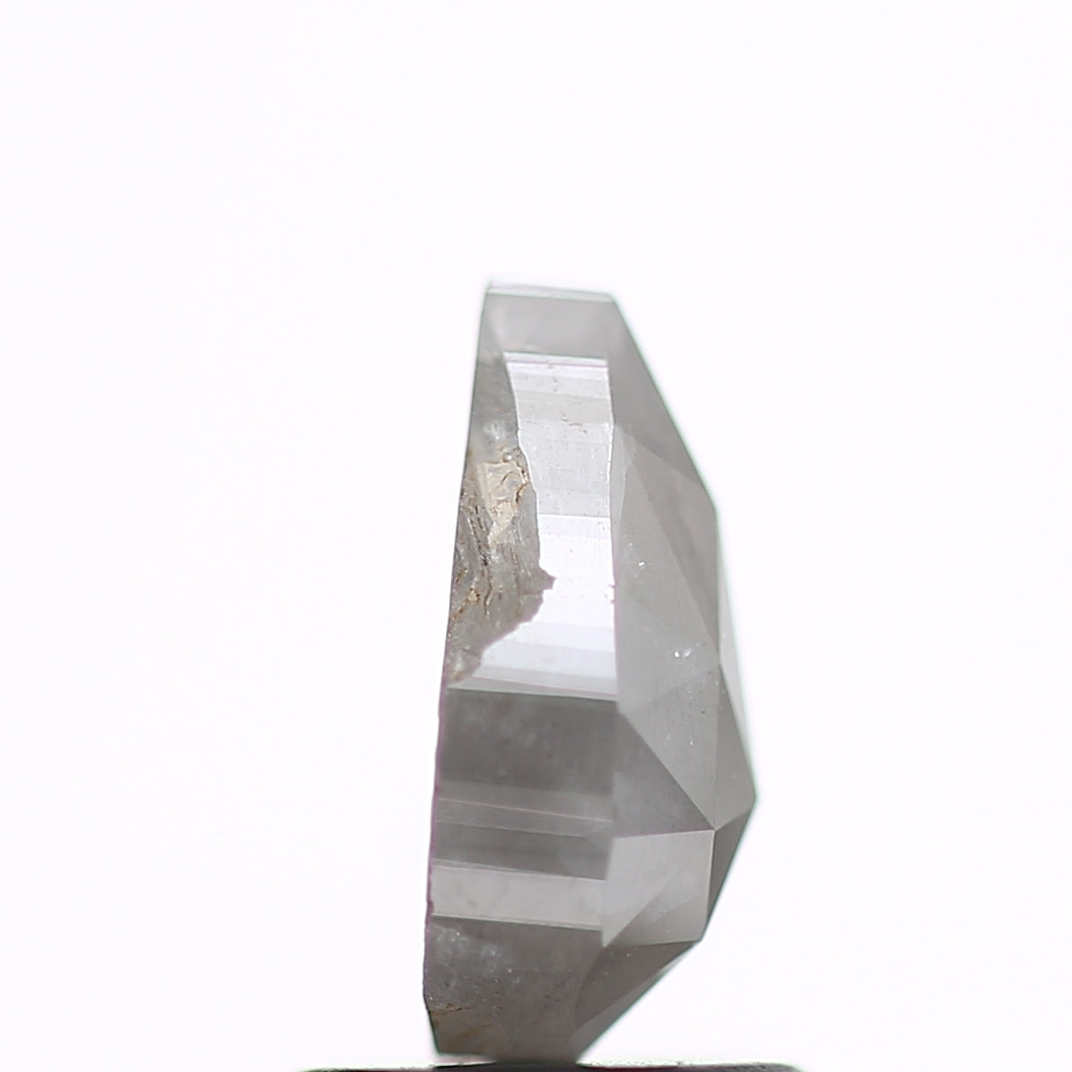 ClariOLED Transparent OLED Display price