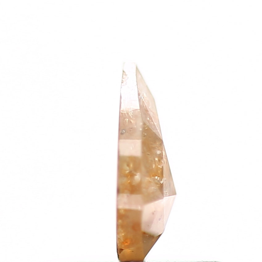 ClariOLED Transparent OLED Display price