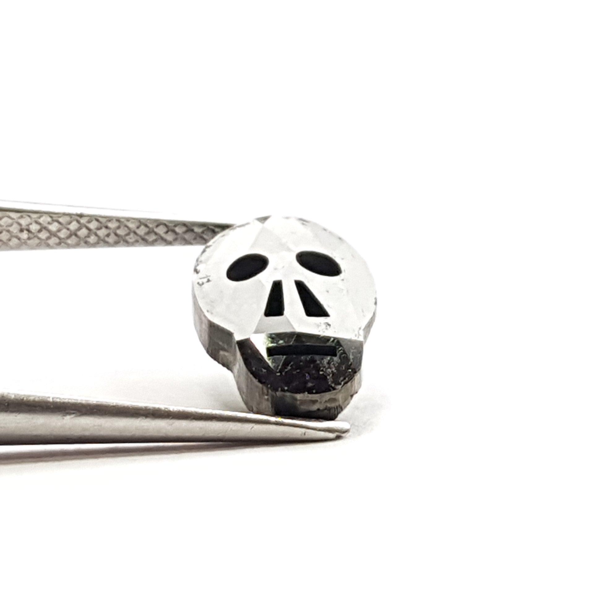 ClariOLED Transparent OLED Display price