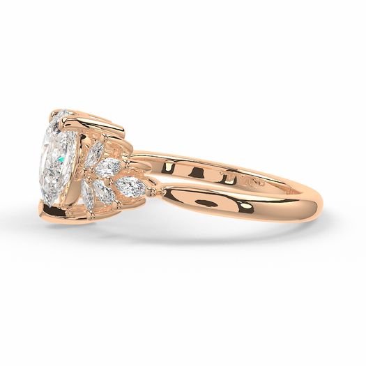 ClariOLED Transparent OLED Display price