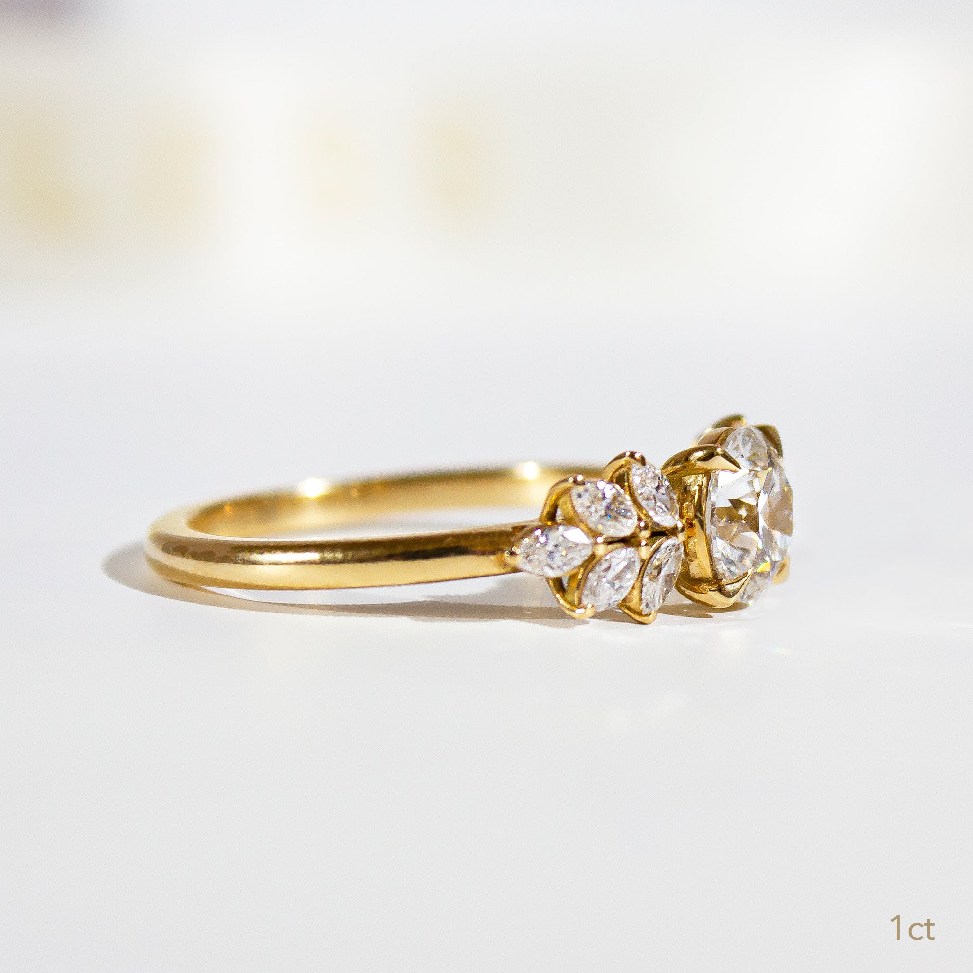 ClariOLED Transparent OLED Display price