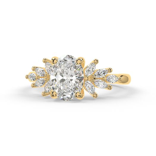 ClariOLED Transparent OLED Display price