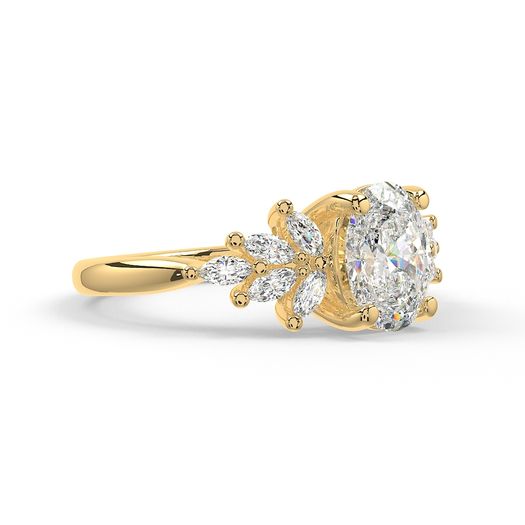 ClariOLED Transparent OLED Display price