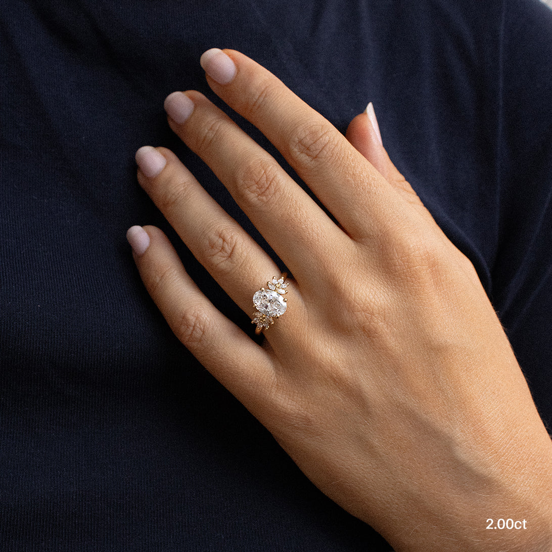 ClariOLED Transparent OLED Display price