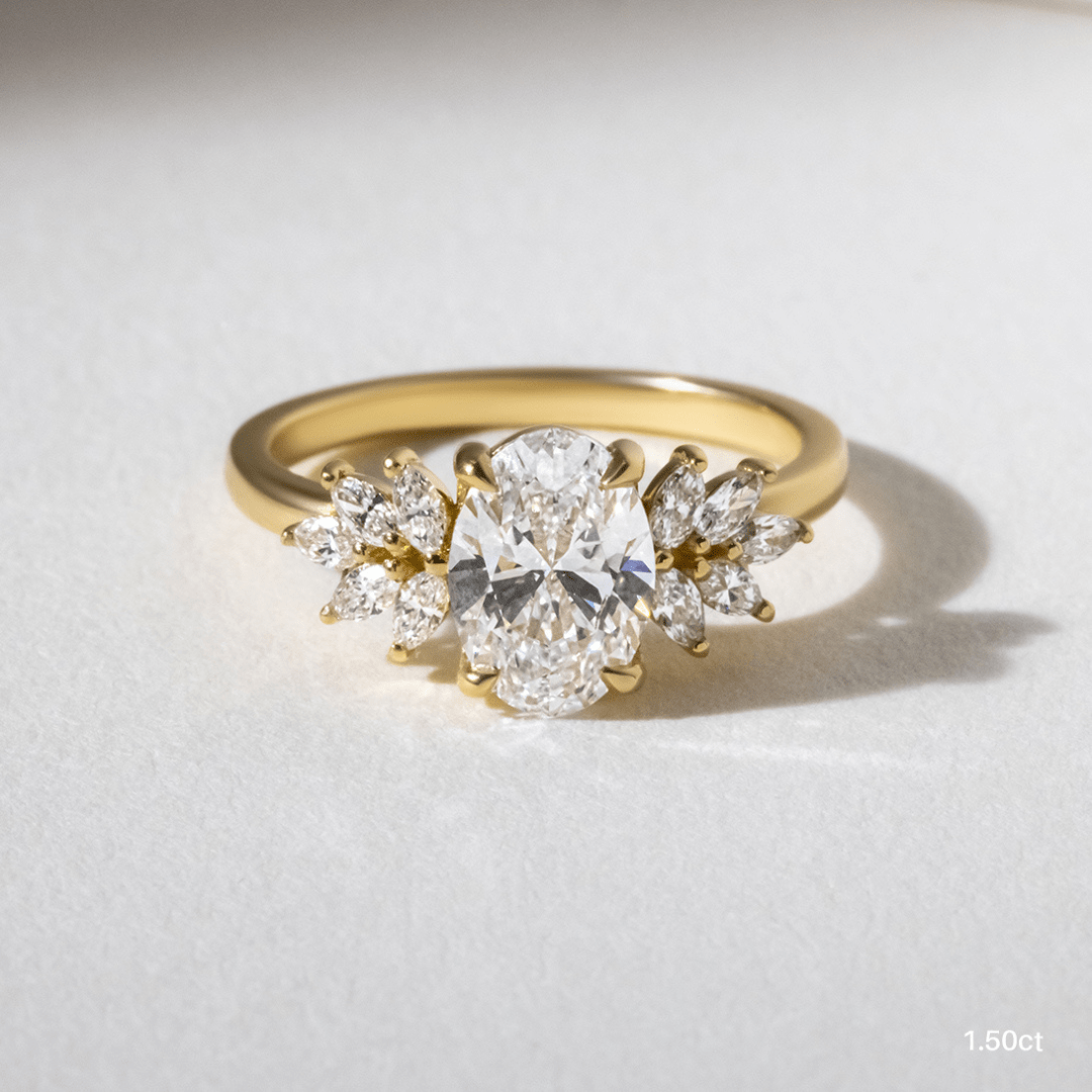 ClariOLED Transparent OLED Display price