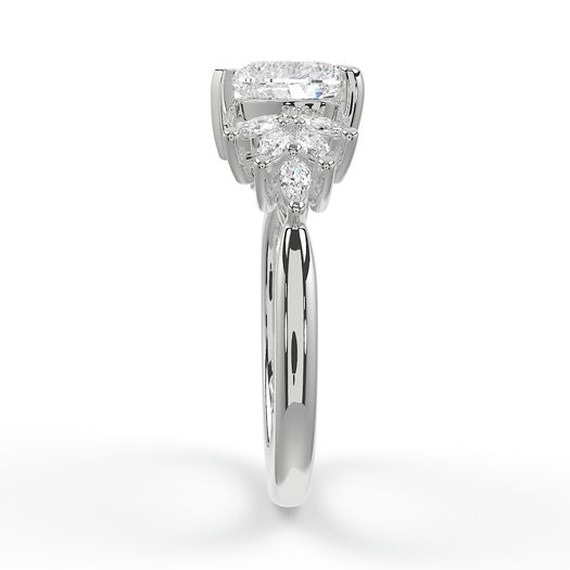 ClariOLED Transparent OLED Display price