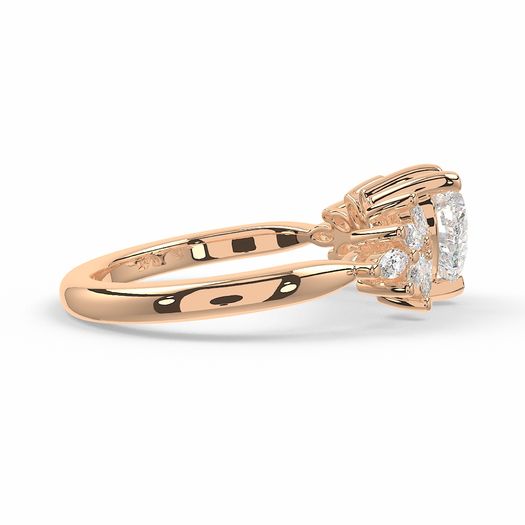 ClariOLED Transparent OLED Display price