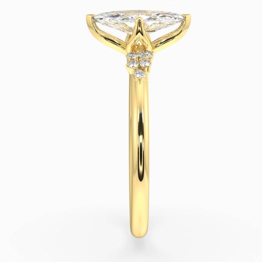 ClariOLED Transparent OLED Display price