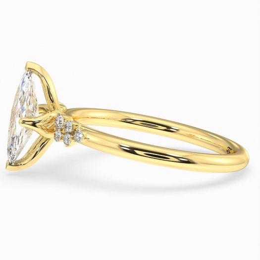 ClariOLED Transparent OLED Display price