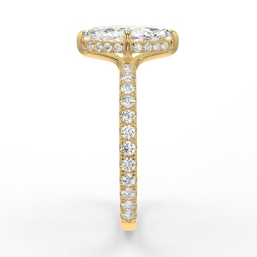 ClariOLED Transparent OLED Display price