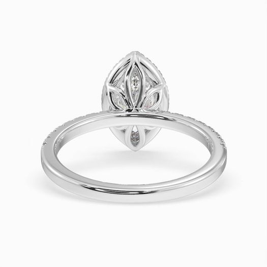 ClariOLED Transparent OLED Display price