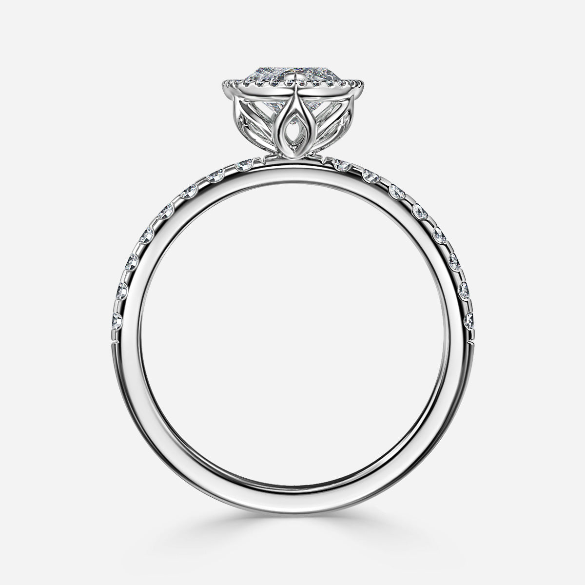 ClariOLED Transparent OLED Display price