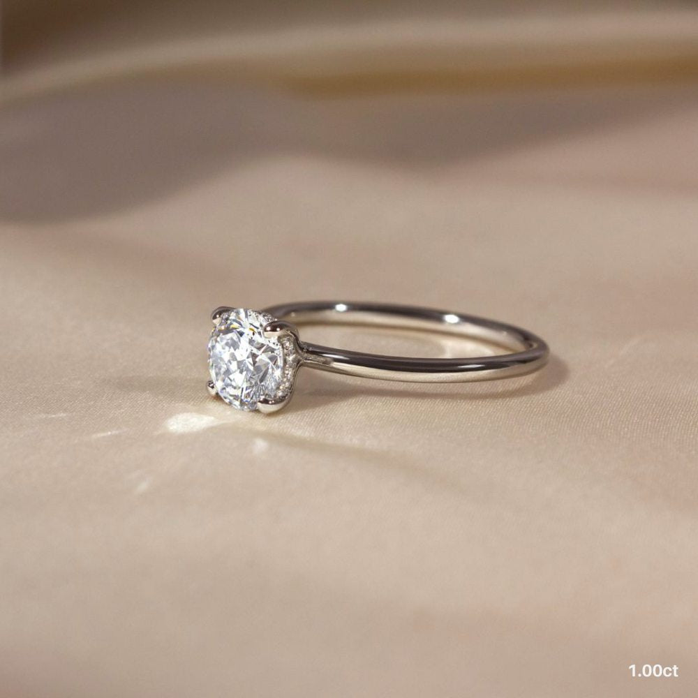 ClariOLED Transparent OLED Display price