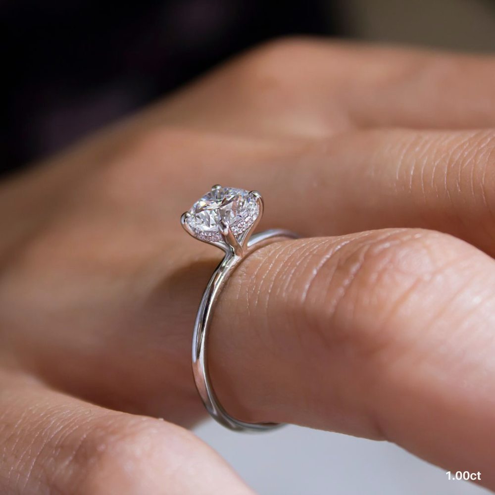 ClariOLED Transparent OLED Display price