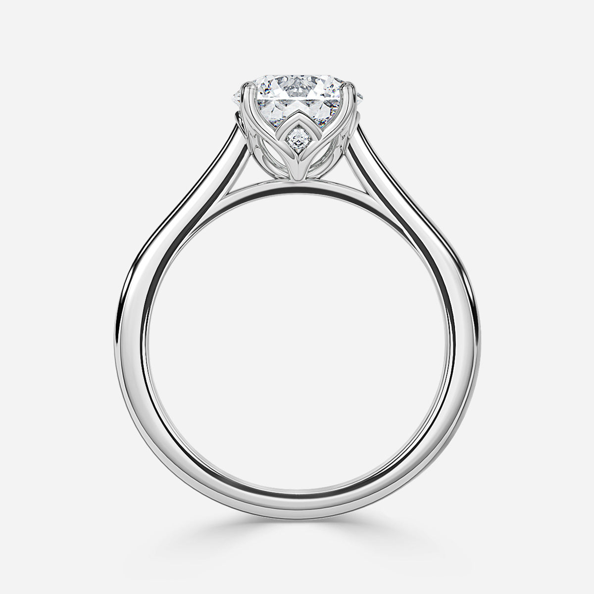 ClariOLED Transparent OLED Display price