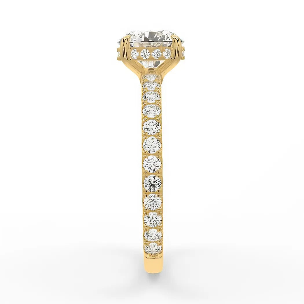 ClariOLED Transparent OLED Display price