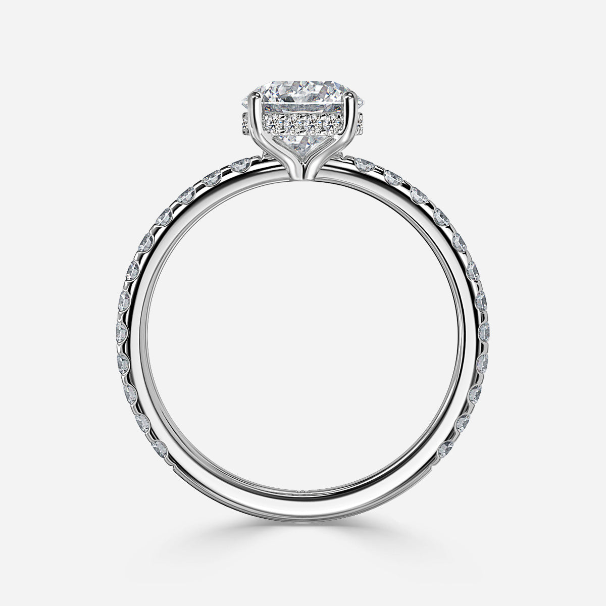 ClariOLED Transparent OLED Display price