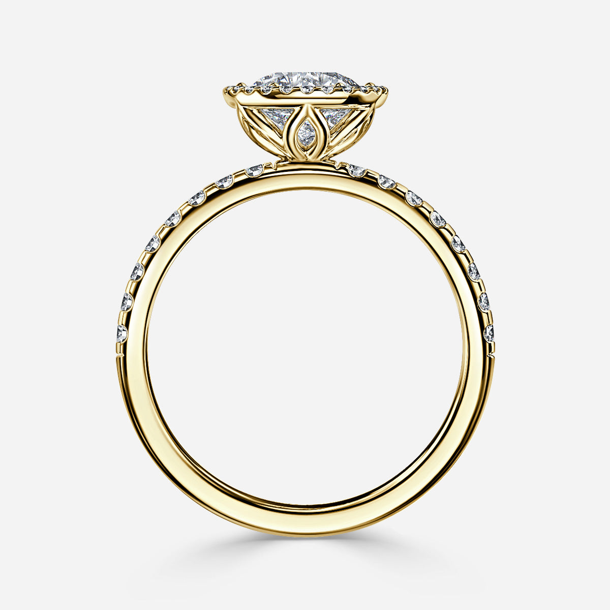 ClariOLED Transparent OLED Display price