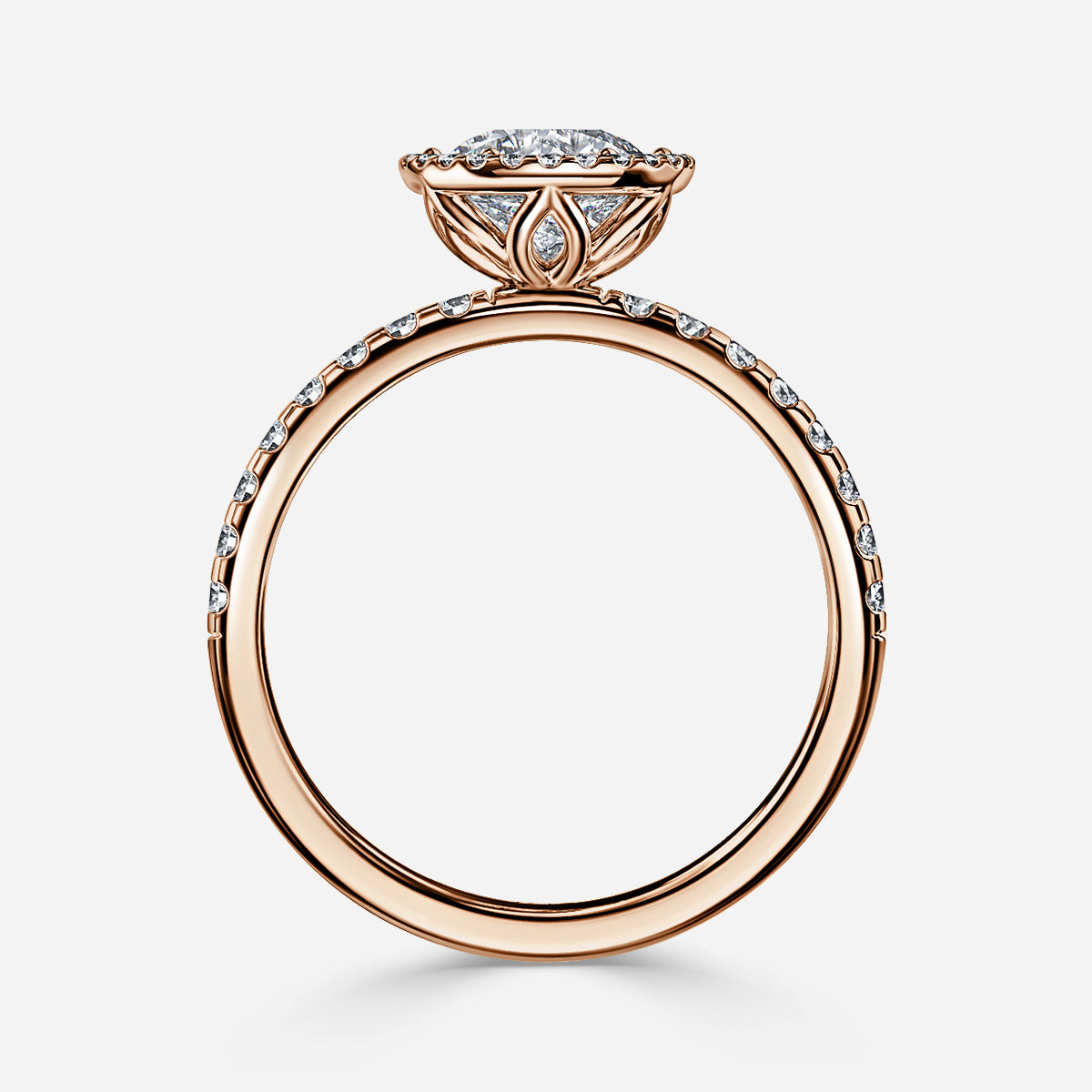 ClariOLED Transparent OLED Display price