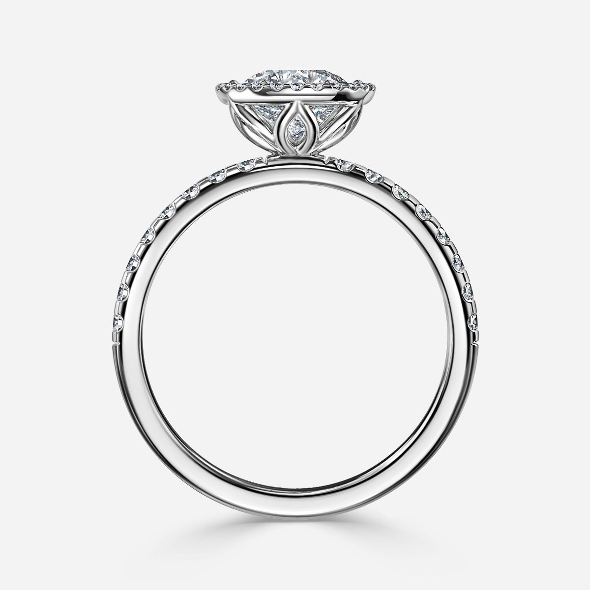 ClariOLED Transparent OLED Display price