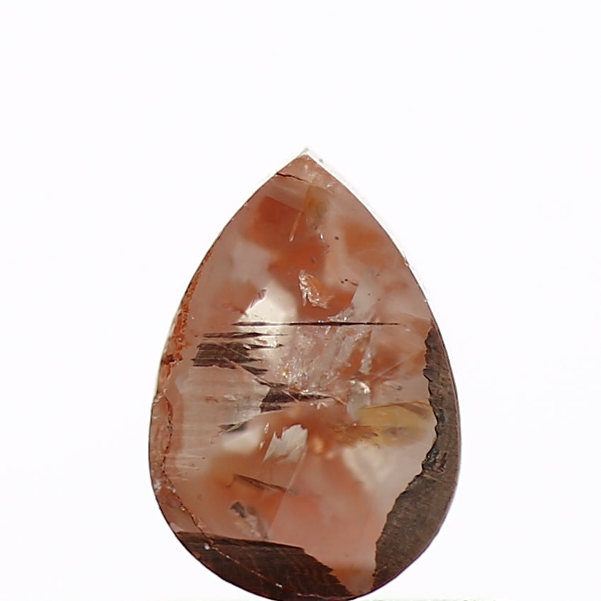 ClariOLED Transparent OLED Display price