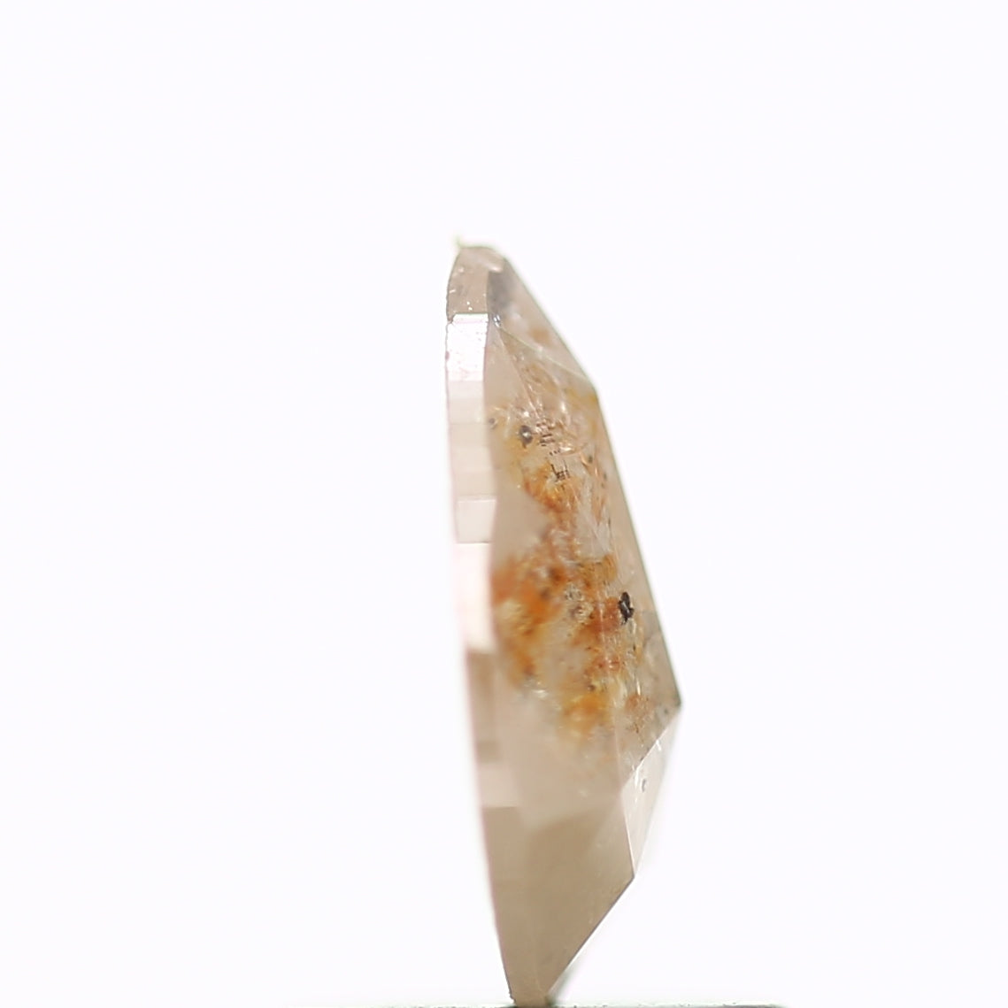 ClariOLED Transparent OLED Display price