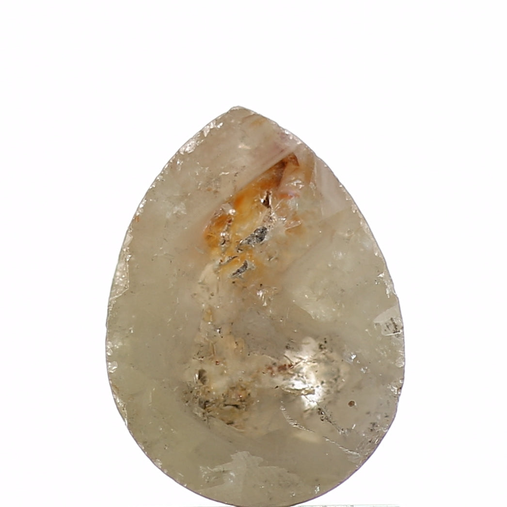 ClariOLED Transparent OLED Display price