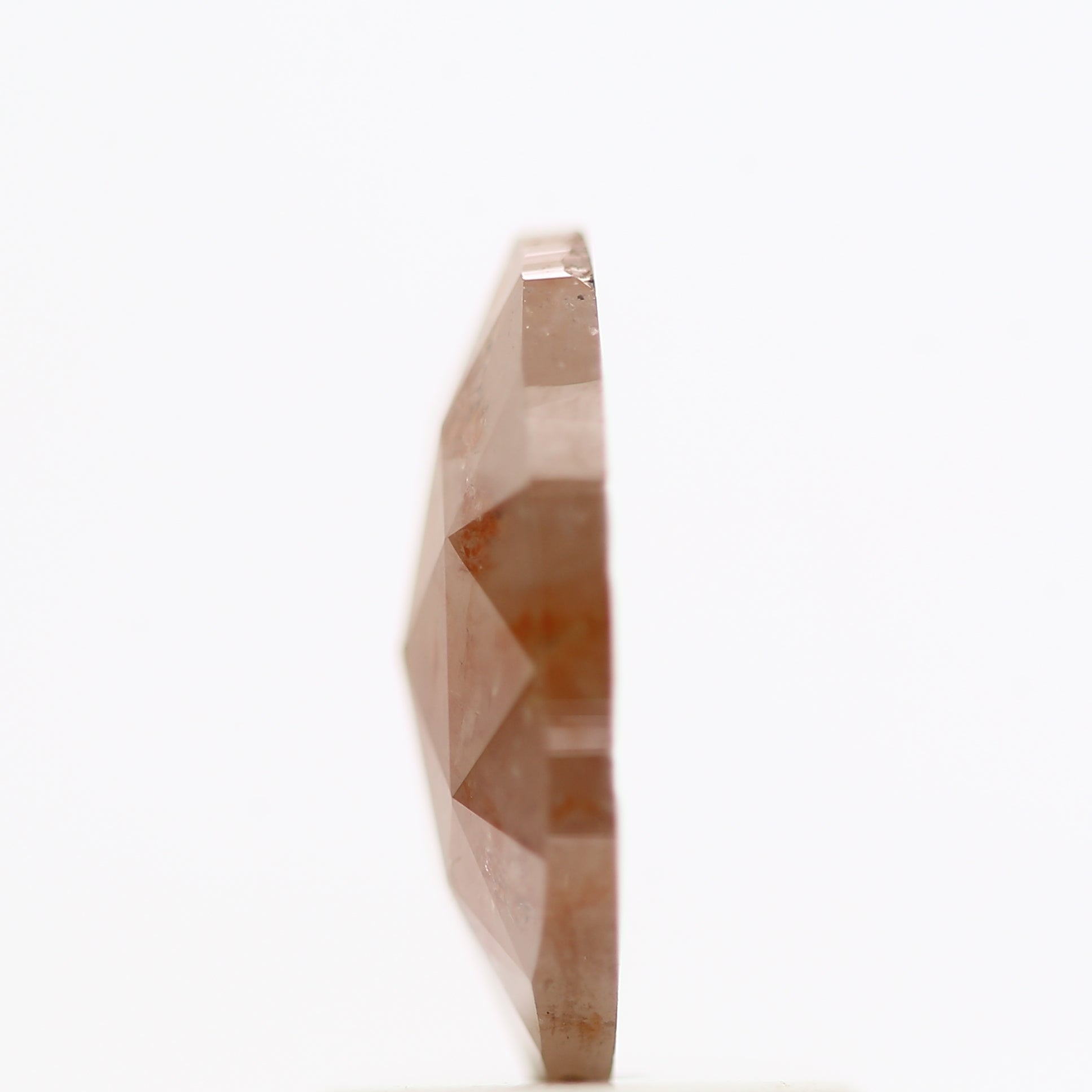 ClariOLED Transparent OLED Display price