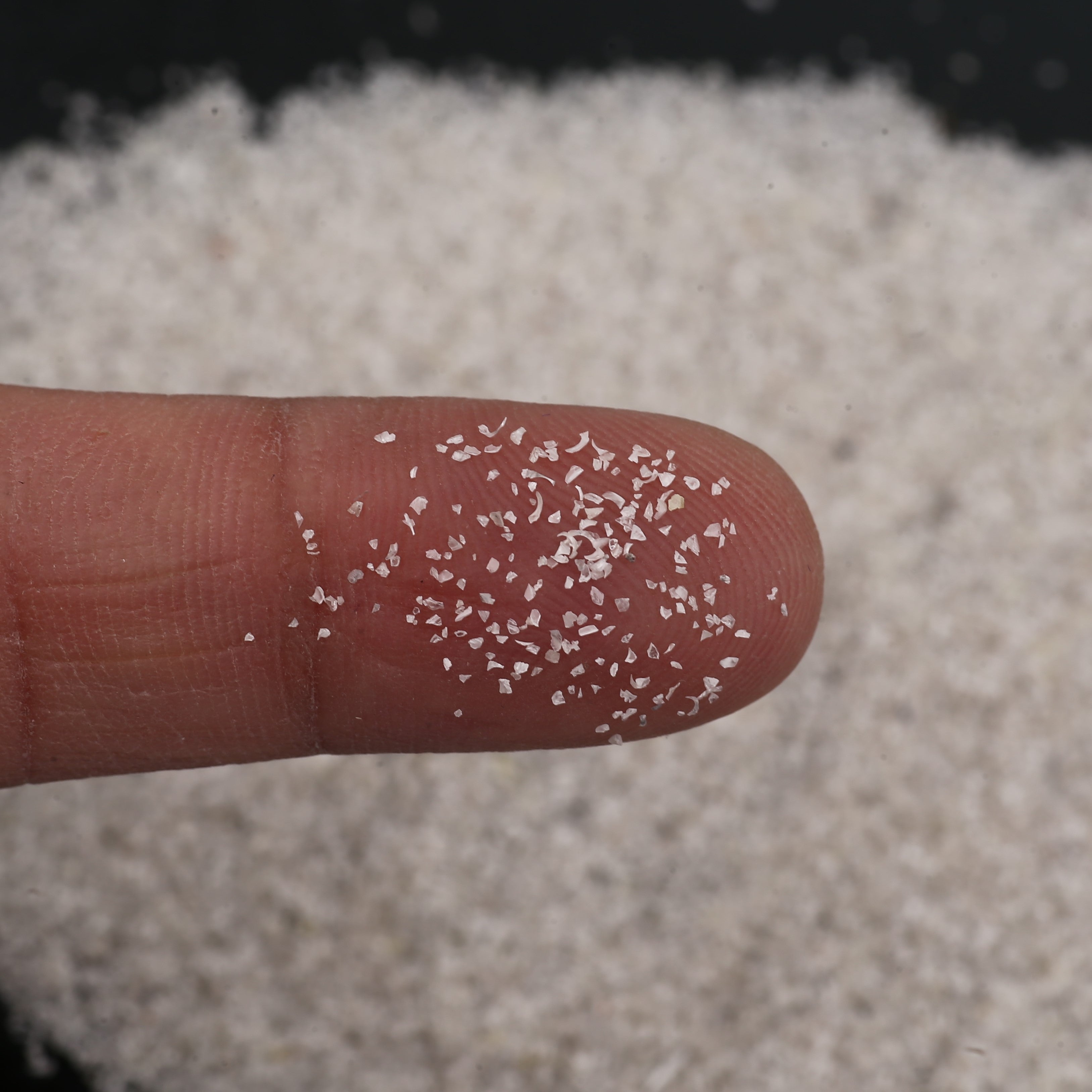 ClariOLED Transparent OLED Display price