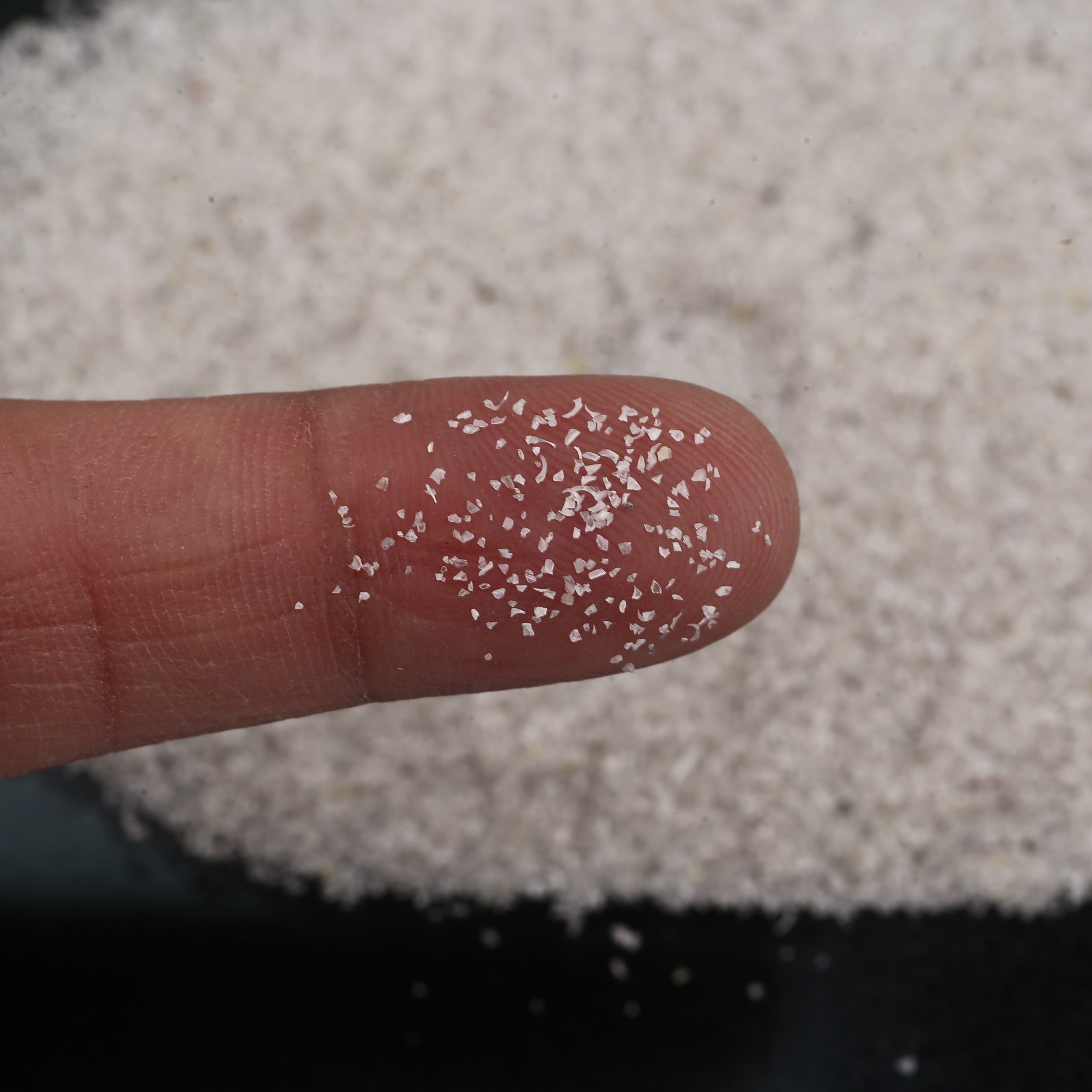 ClariOLED Transparent OLED Display price