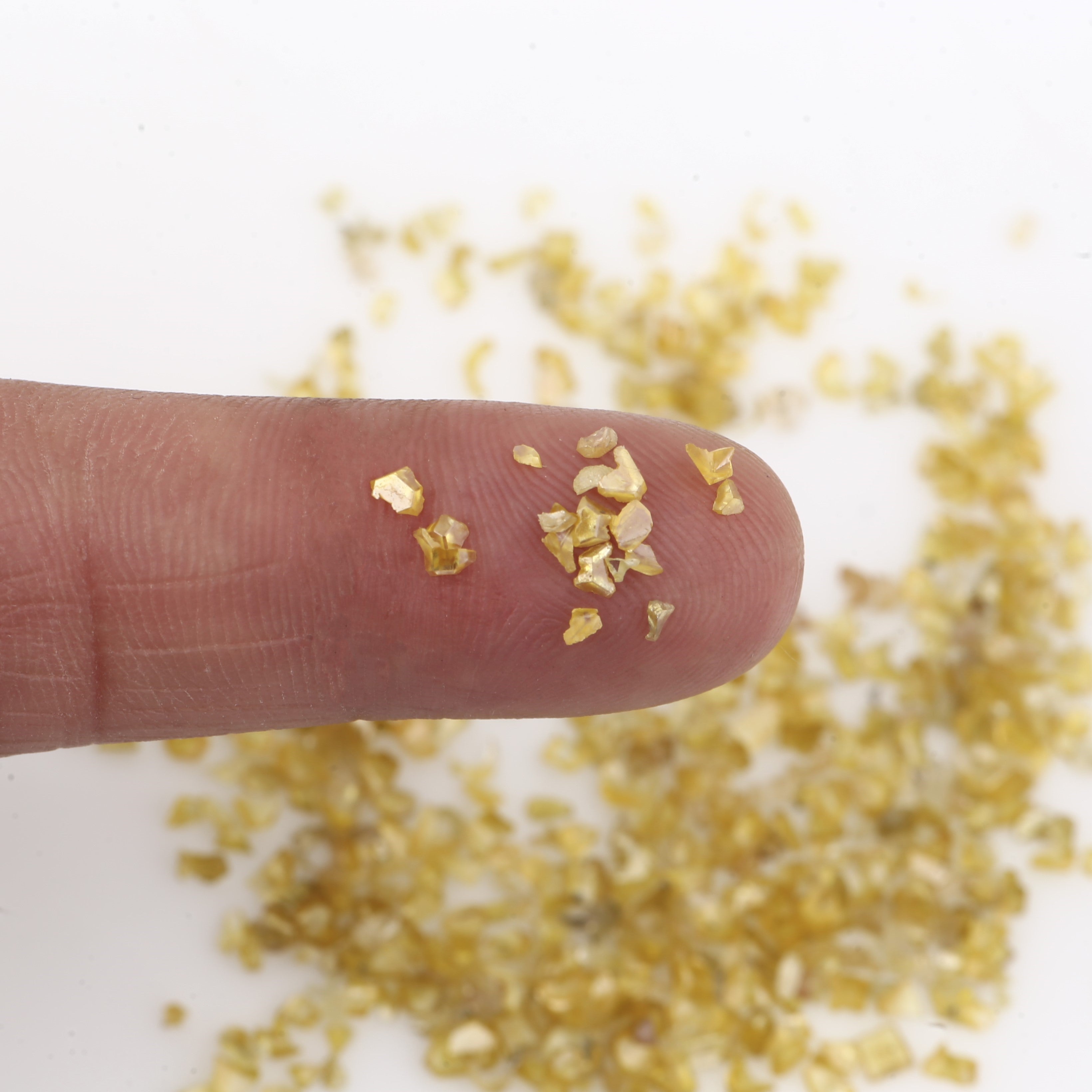 ClariOLED Transparent OLED Display price