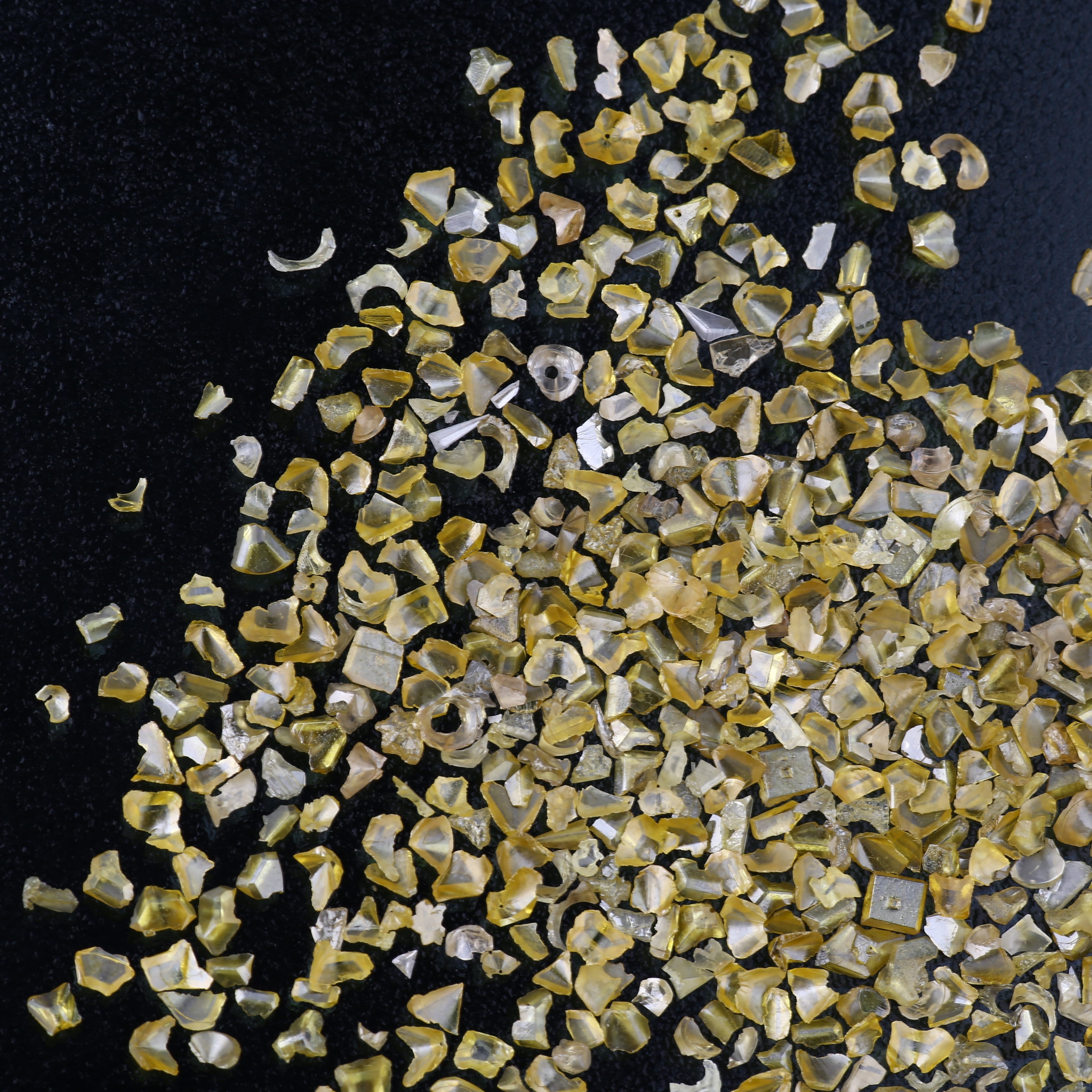 ClariOLED Transparent OLED Display price